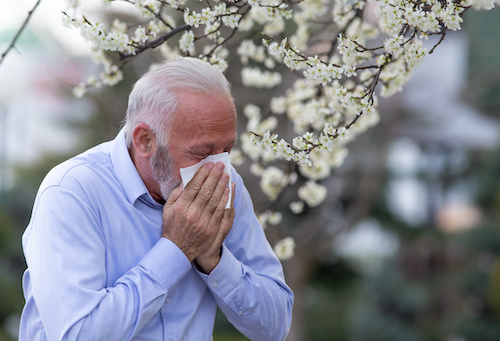 Seniors in assisted living communities may deal with seasonal allergies.